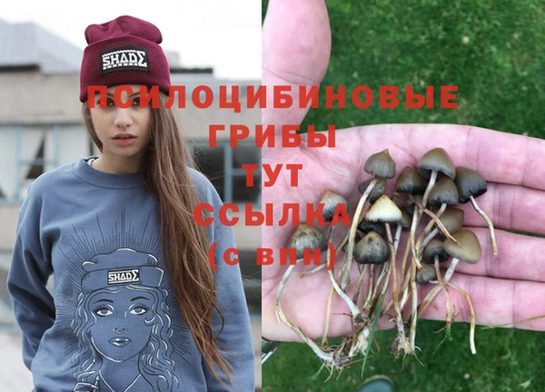 прущая мука Снежногорск