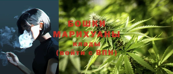 прущая мука Снежногорск