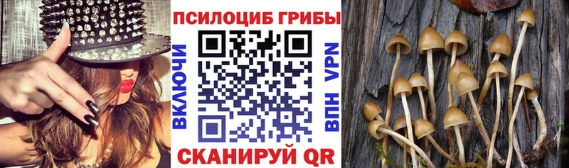 ОМГ ОМГ как зайти наркотики Шиханы Псилоцибиновые грибы мухоморы